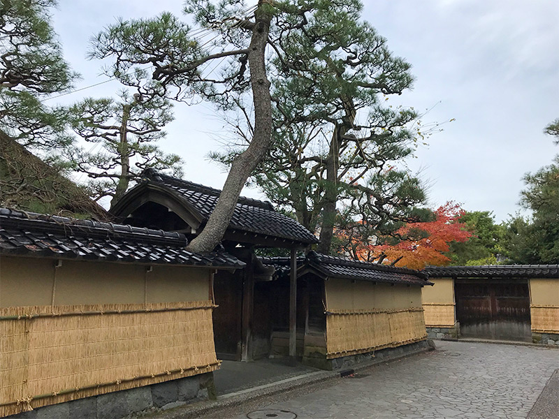 金沢武家屋敷・こもかけ