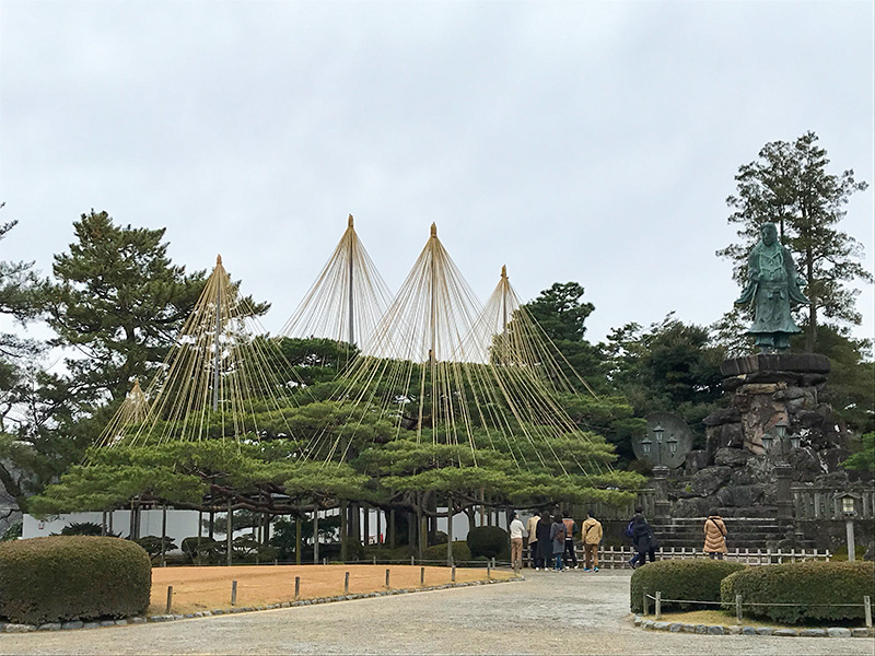 兼六園・雪吊り