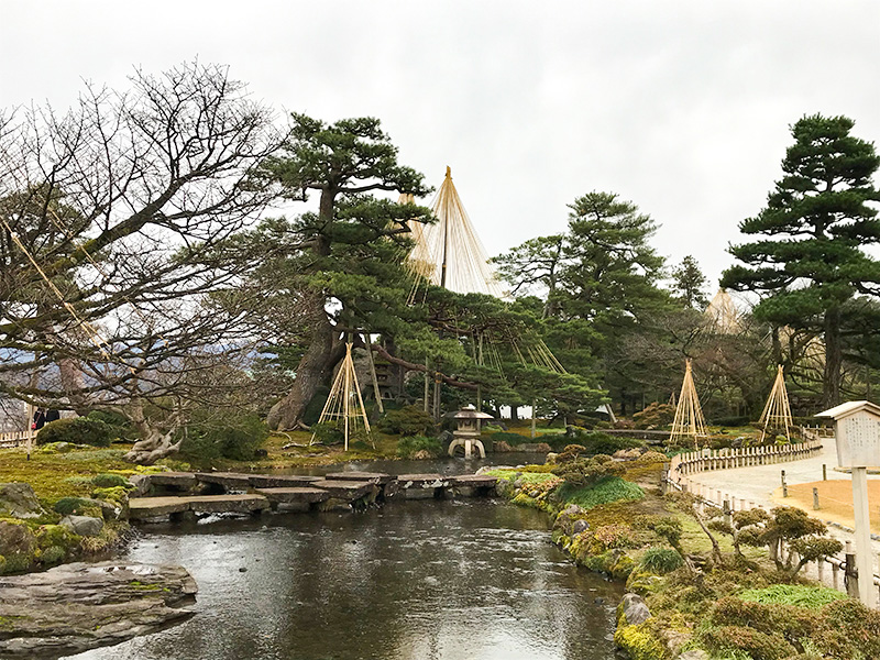 兼六園・雪吊り