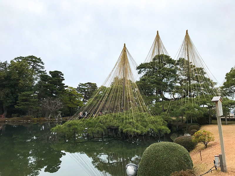 兼六園・雪吊り