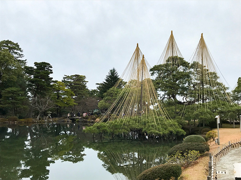 兼六園・雪吊り