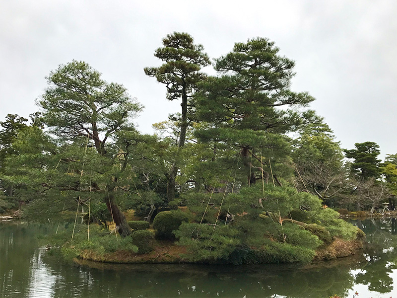 兼六園・雪吊り