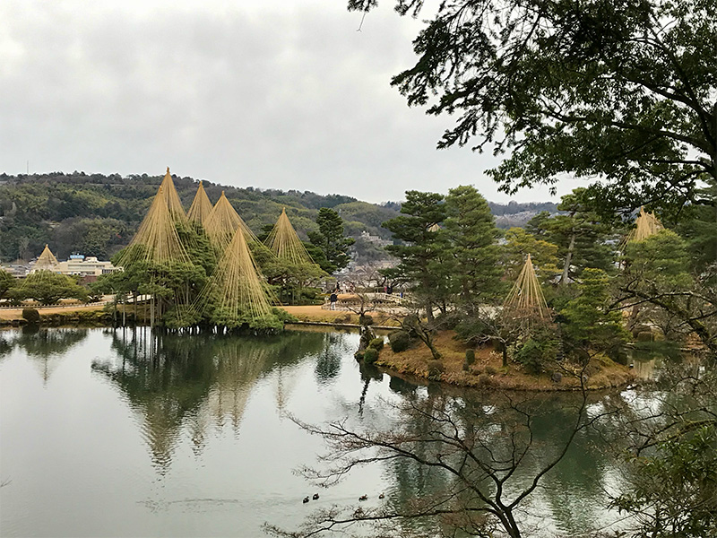 兼六園・雪吊り