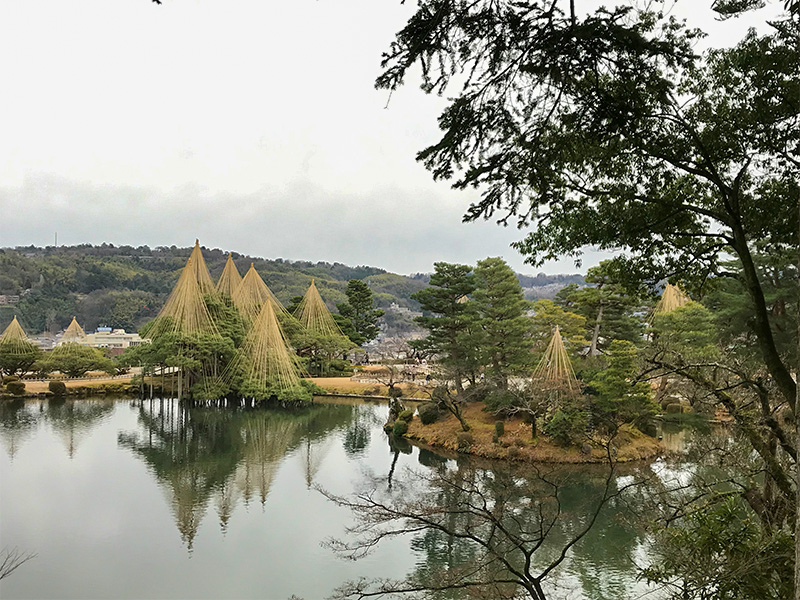 兼六園・雪吊り