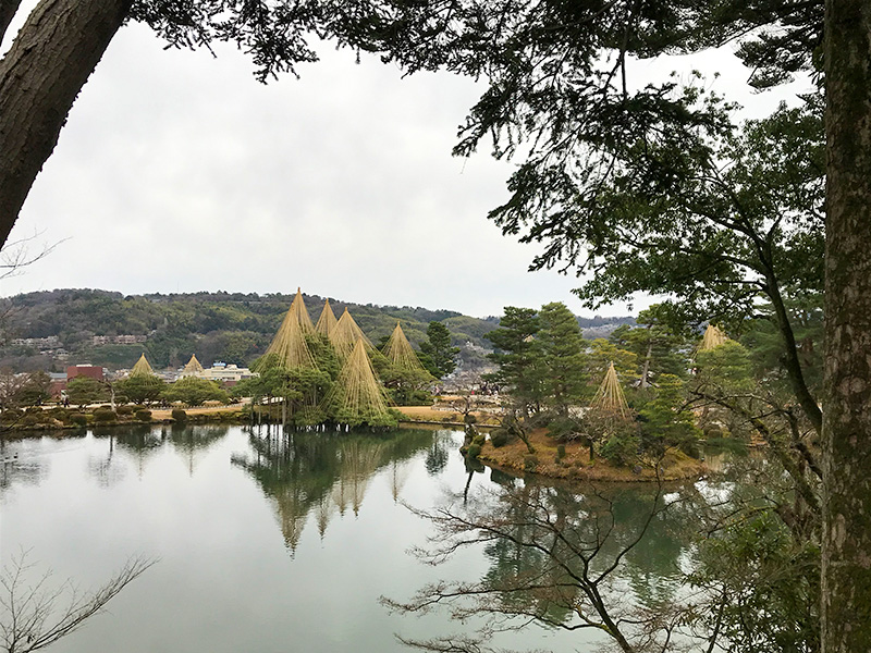 兼六園・雪吊り