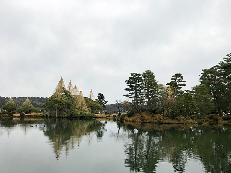 兼六園・雪吊り