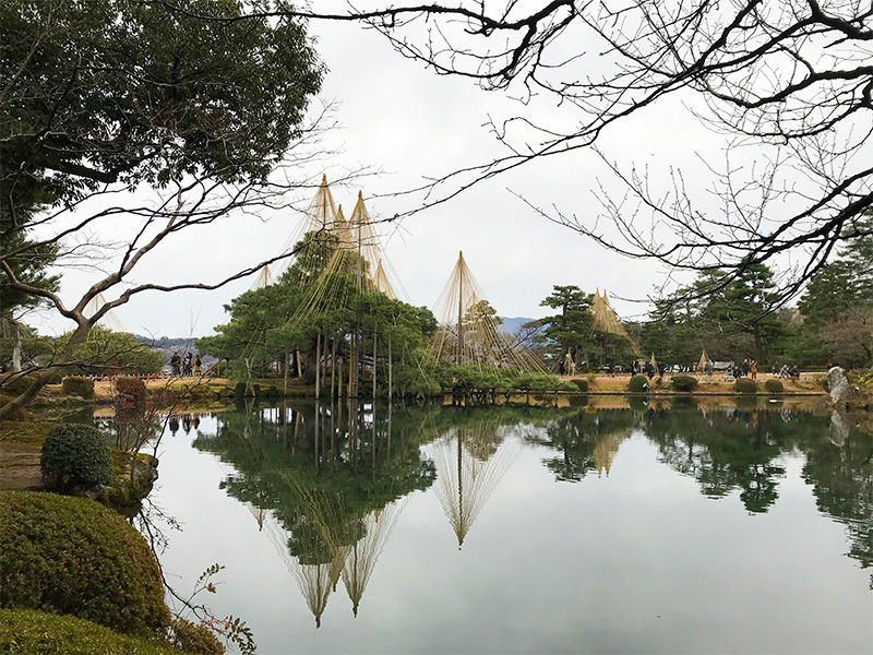 兼六園・雪吊り