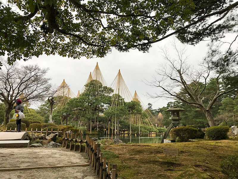 兼六園・雪吊り