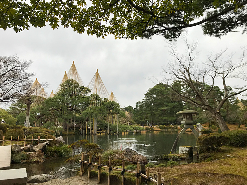 兼六園・雪吊り