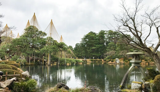 【金沢】金沢の冬の風物詩といえば兼六園の「雪吊り」も外せない