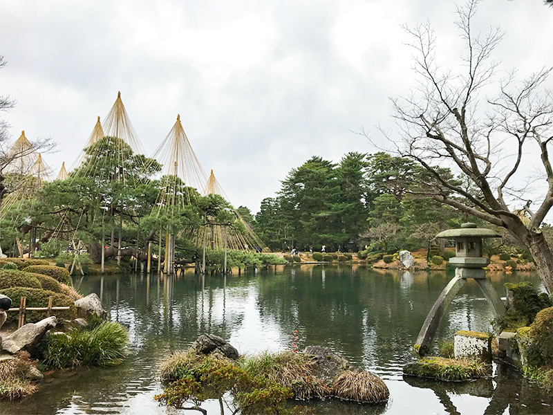 兼六園・雪吊り