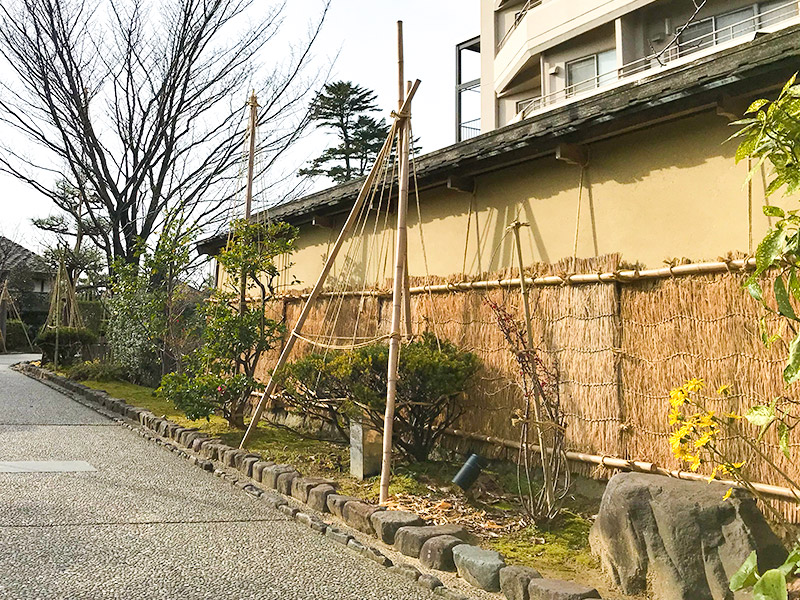 金沢・雪吊り