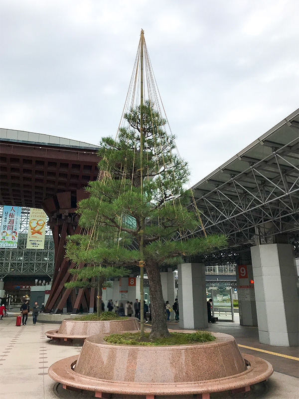 金沢駅もてなしドームと鼓門と雪吊り