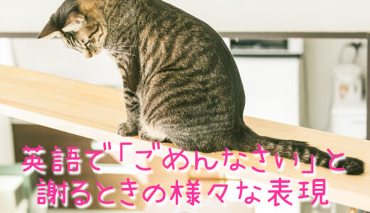 英語で「ごめんなさい」と謝るときの様々な表現集