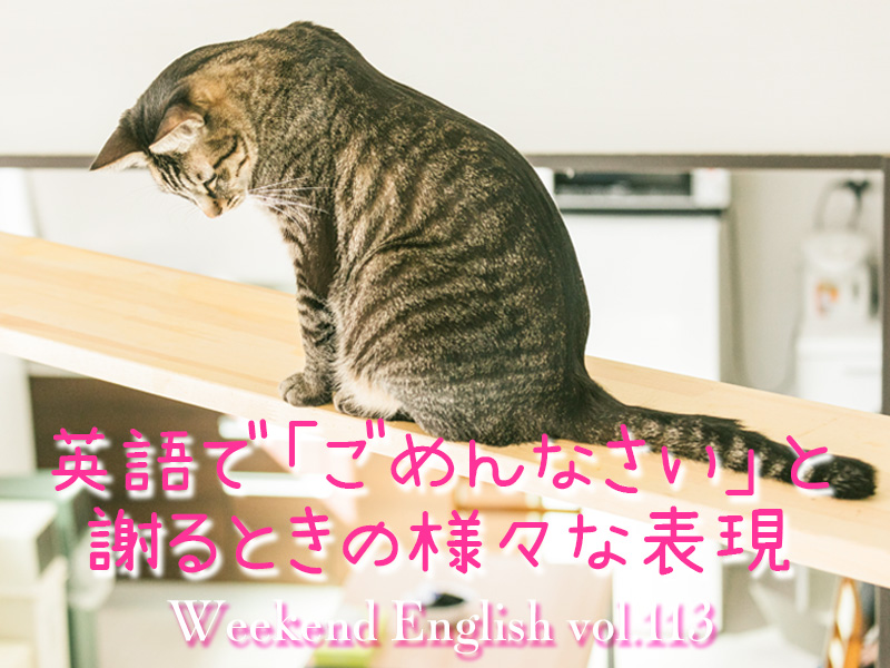 週末英語（weekend english）英語で「ごめんなさい」と謝るときの様々な表現
