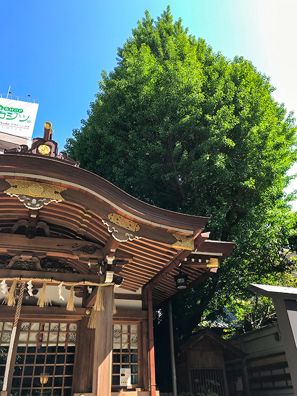 名古屋・白龍神社