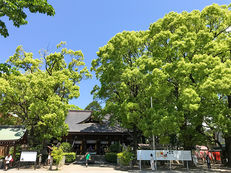 名古屋・若宮八幡社