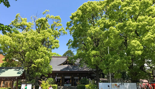 【名古屋】大須観音近くにある若宮八幡社は名古屋の総鎮守！