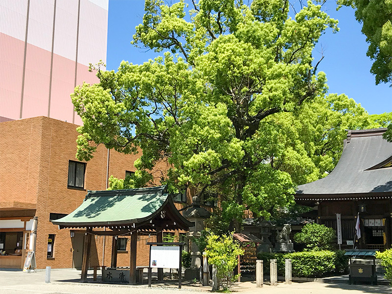 名古屋・若宮八幡社