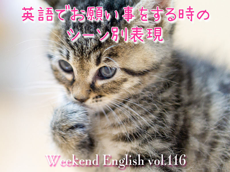 週末英語（weekend english）依頼表現