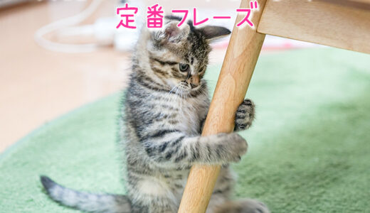 英語でお願い・頼み事をする時の定番フレーズ集