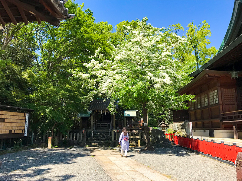 城山八幡宮