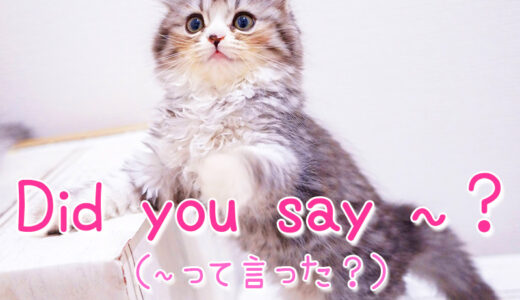 英語であいづちを打つ「Did you say 〜？（〜って言った？）」
