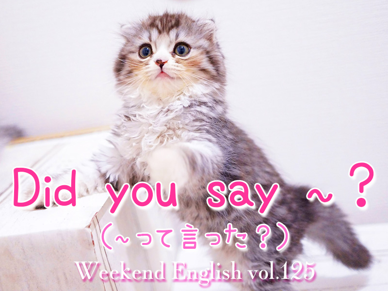 週末英語（weekend english）did you say