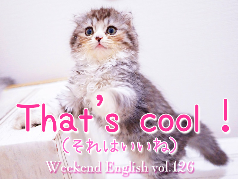 週末英語（weekend English）that's cool