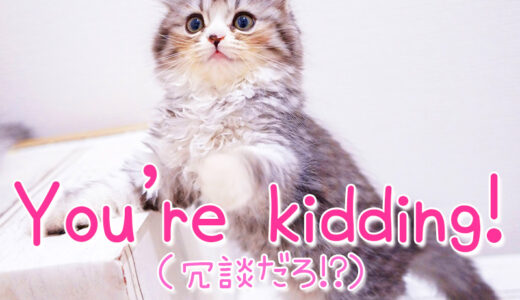 「冗談だろ」と英語で相槌を打つ時は「You're kidding !」いろんな使い方パターンもあるよ
