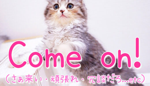 【週末英語#128】「Come on!」はあいづちを打つとき以外にもいろんな意味がある