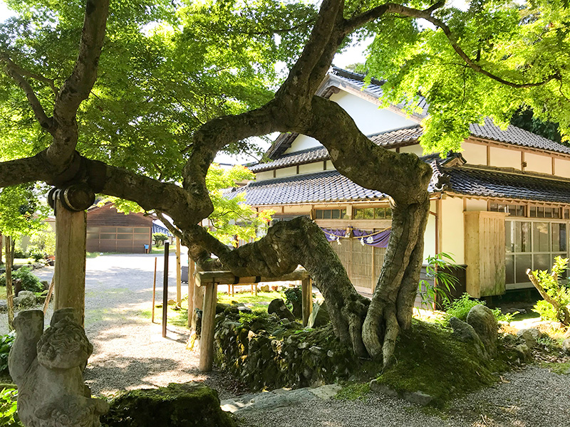 能登・天日陰比咩神社（あめひかげひめじんじゃ）