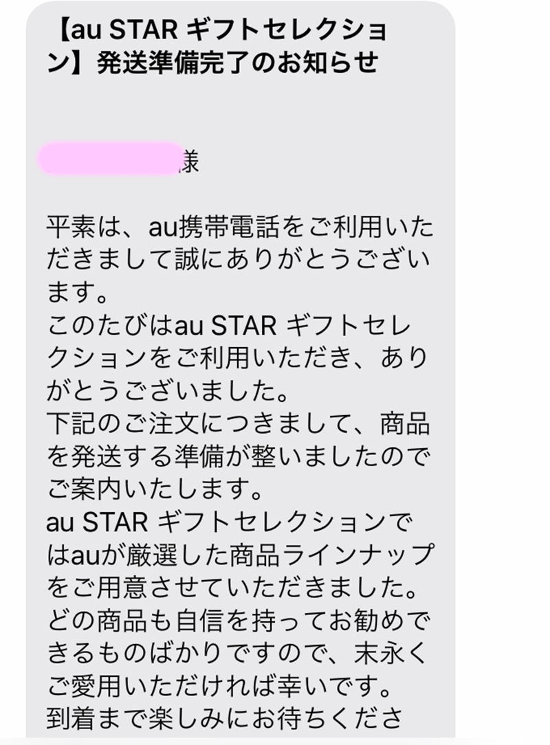 au star 西川AIRポータブルクッション