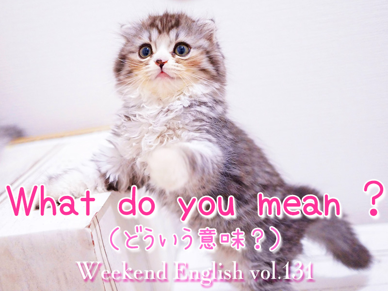 週末英語（weekend english）「What do you mean ?（どういう意味）」