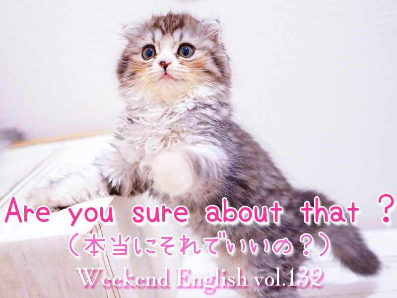 週末英語（weekend english）「Are you sure about that ?（本当にそれでいいの）」