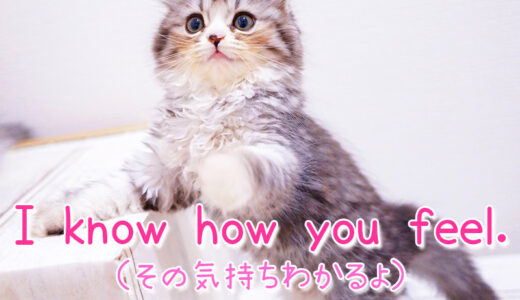 【週末英語#133】「I know how you feel.」は相手の言ったことに「うんうん、その気持ちわかるよ」と共感を伝える時に言う