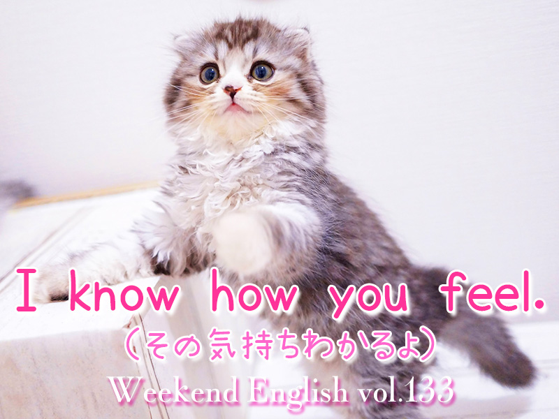 週末英語（weekend english）I know how you feel.（その気持ちわかるよ）