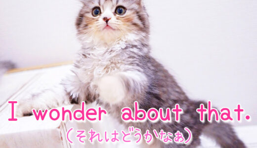 【週末英語#134】「それはどうかなぁ」と相手の意見に同意しかねるときは「I wonder about that.」