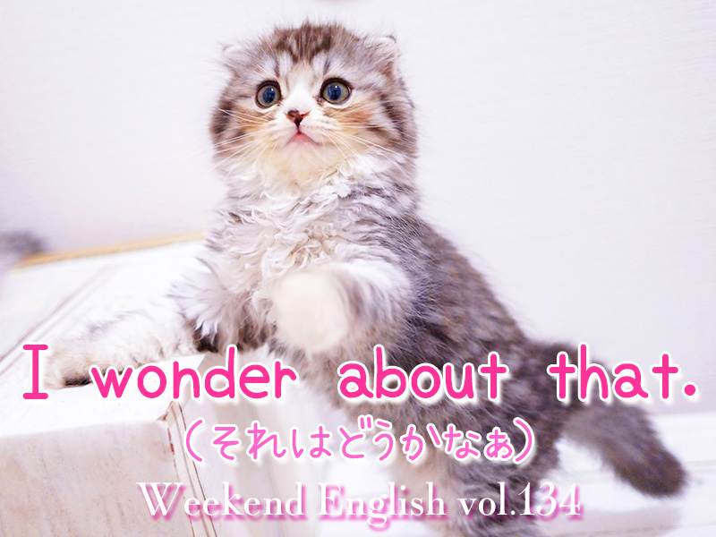 週末えいご（weekend english）I wonder about that.（それはどうかなぁ）