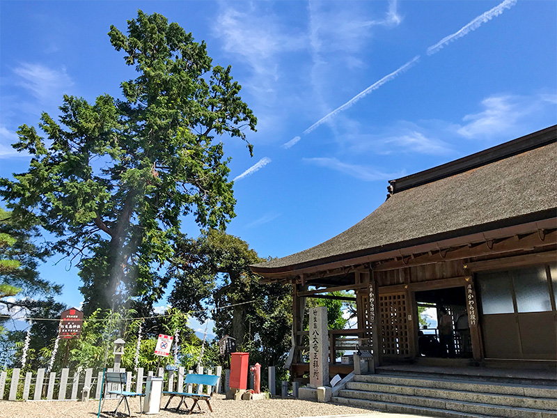 竹生島神社（都久夫須麻神社）龍神拝所
