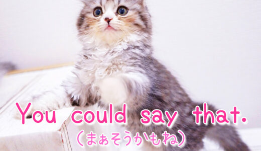 英語フレーズ「You could say that.」は「まぁそうかもしれないね」とあいまいに同意を打つ時の相づち表現として使える