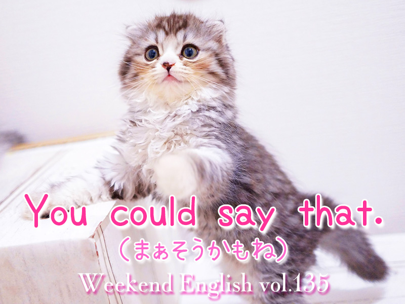 週末英語（weekend english）You could say that.「まぁそうかもね」