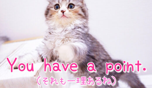 【週末英語 #136】“You have a point.”の意味は相手の意見に納得して「なるほど一理あるね〜」と言いたい時に使う