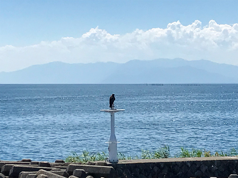 竹生島