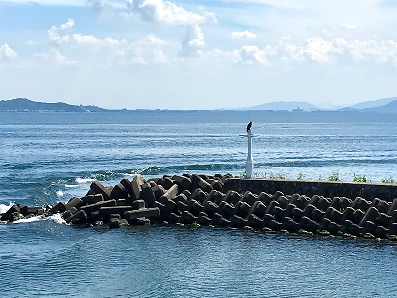 竹生島