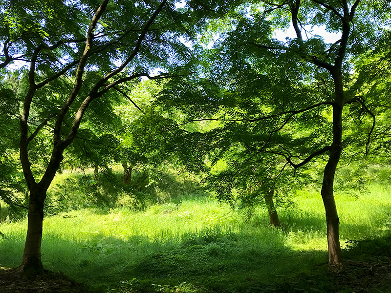 石川県樹木公園