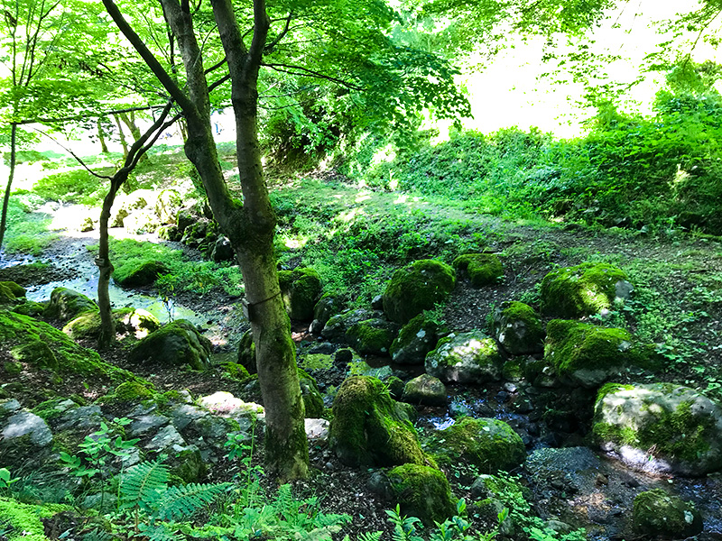 石川県樹木公園