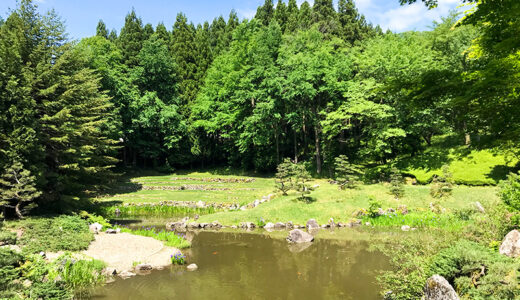 【石川】白山さん近くにある「樹木公園」はおすすめ散策スポット