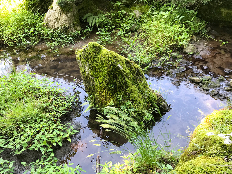 石川県樹木公園