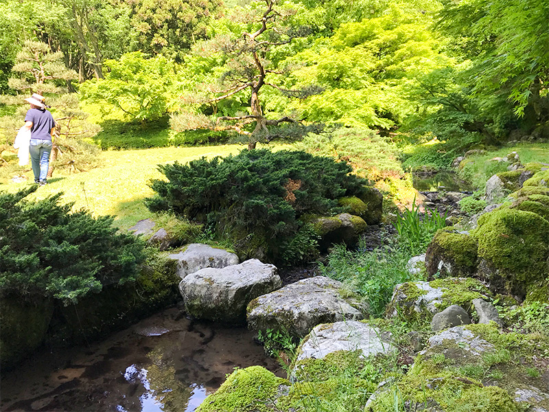 石川県樹木公園